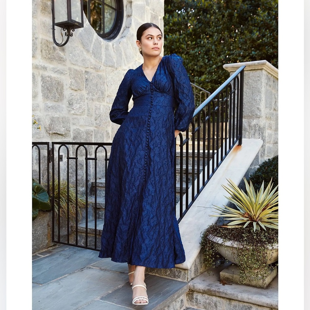NWT Abbey Glass Brooke Organza V-Neck Button Front A-Line Maxi Dress Navy Sz XS - Picture 1 of 12